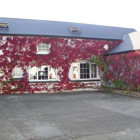Townsend House Guest House Birr Buitenkant foto